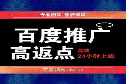 知名SEM服务公司成功案例分享